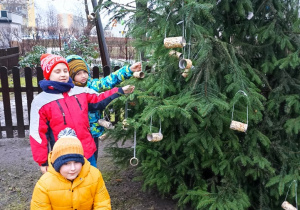 Chłopcy prezentują drzewko z powieszoną karmą.