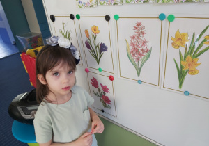 Dziewczynka prezentuje przy tablicy wiosenne kwiaty.
